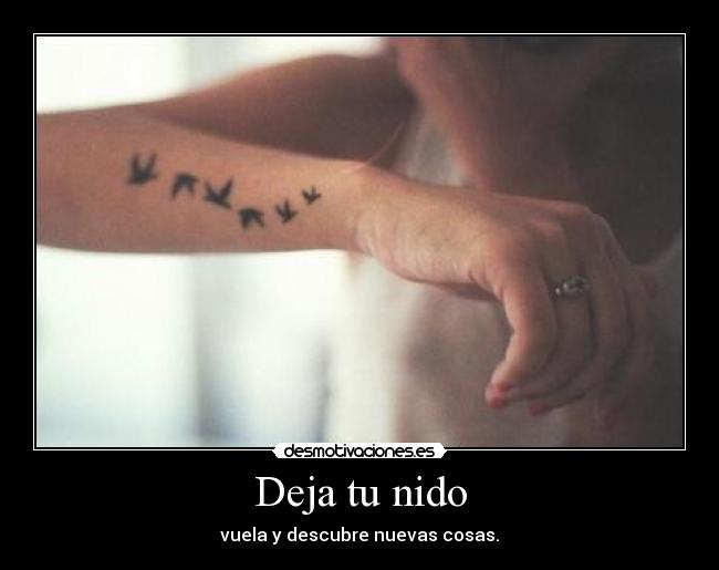 Deja tu nido - 