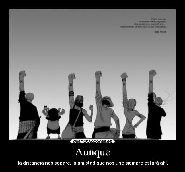 carteles distancia amistad simbolo brazo izquierdo one piece desmotivaciones