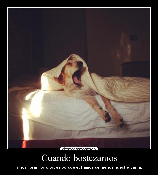 carteles tengo suenooooooo desmotivaciones