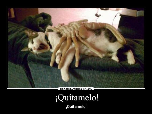 ¡Quítamelo! - ¡Quítamelo!
