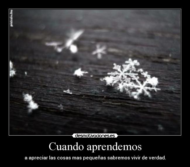Cuando aprendemos -
