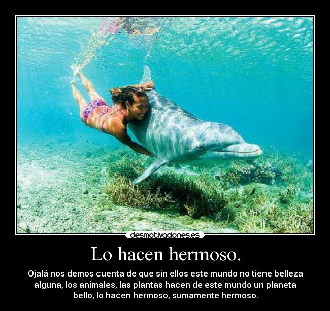 Lo hacen hermoso. - Ojalá nos demos cuenta de que sin ellos este mundo no tiene belleza
alguna, los animales, las plantas hacen de este mundo un planeta
bello, lo hacen hermoso, sumamente hermoso.