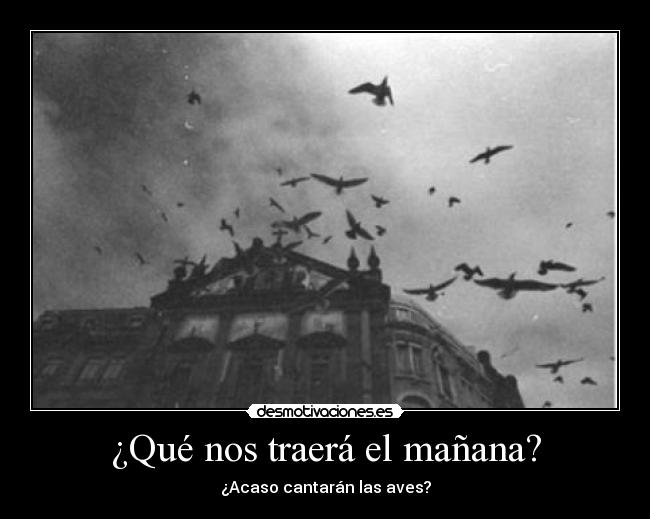 carteles aves manana traer desmotivaciones