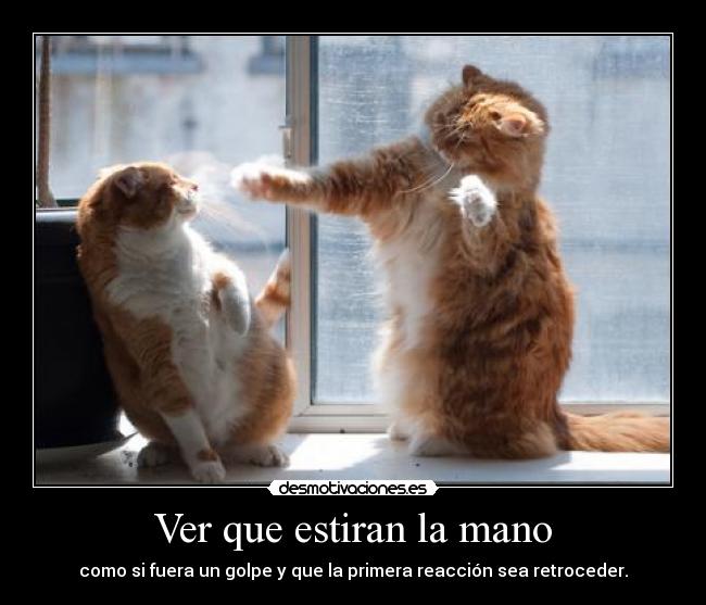Ver que estiran la mano - como si fuera un golpe y que la primera reacción sea retroceder.