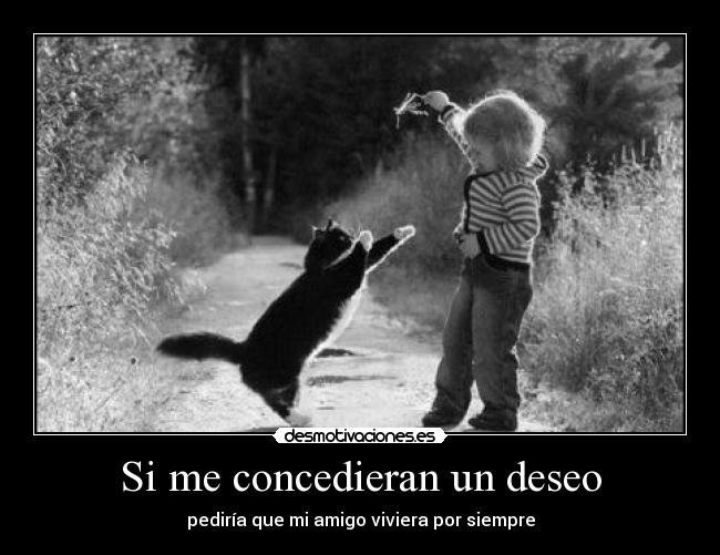 Si me concedieran un deseo - 