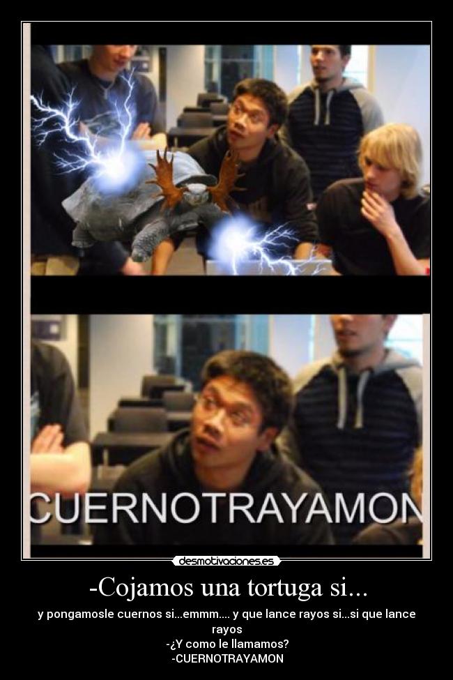 -Cojamos una tortuga si... -