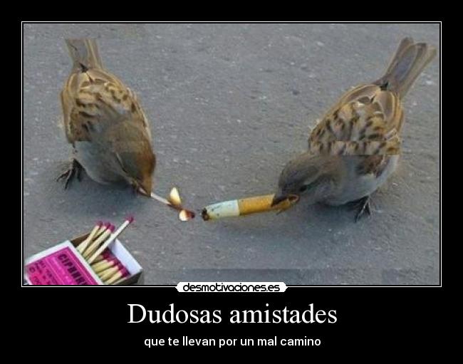 Dudosas amistades - 