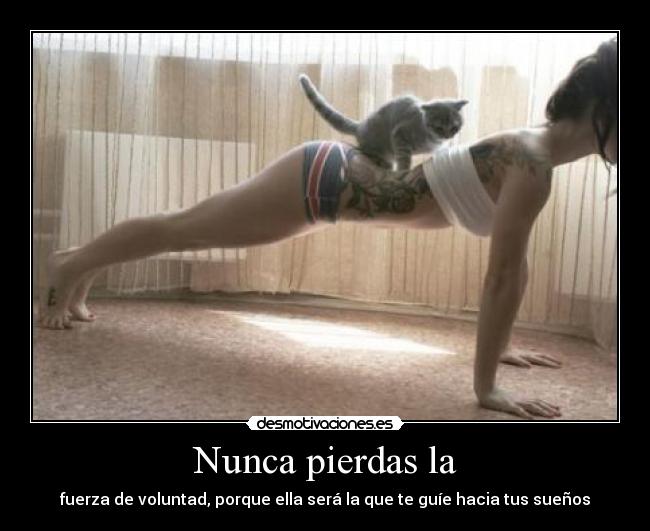 Nunca pierdas la - fuerza de voluntad, porque ella será la que te guíe hacia tus sueños