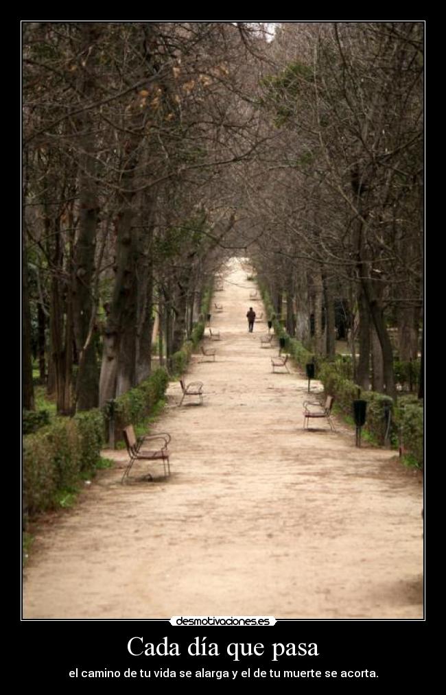 carteles camino vida muerte desmotivaciones