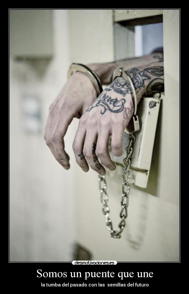 Somos un puente que une - la tumba del pasado con las  semillas del futuro