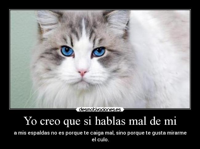Yo creo que si hablas mal de mi - 