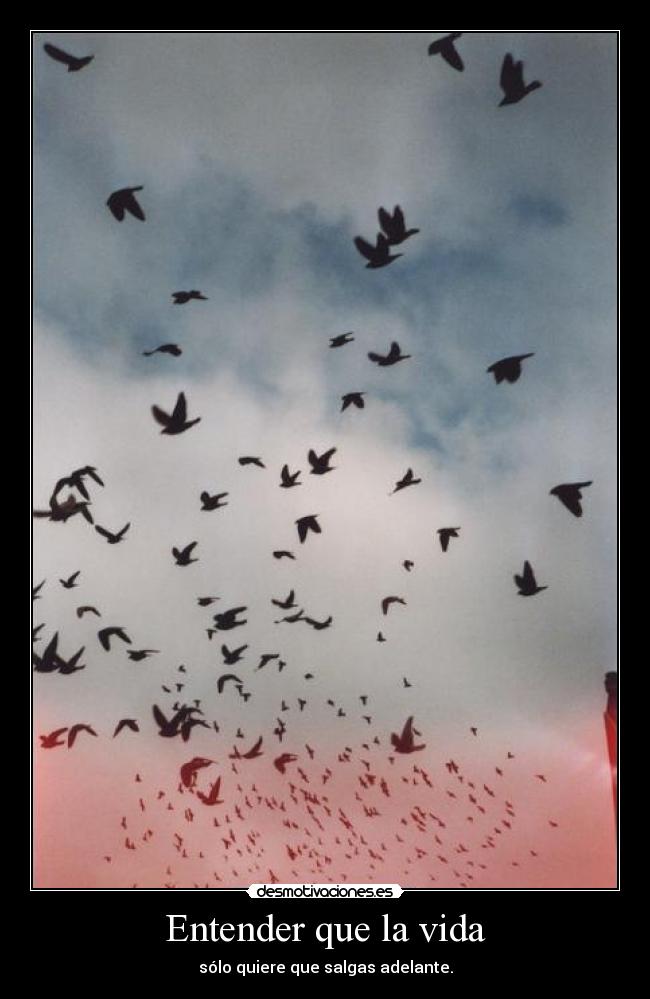 Entender que la vida - sólo quiere que salgas adelante.