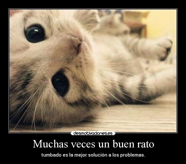 Muchas veces un buen rato -