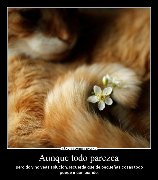 Aunque todo parezca - perdido y no veas solución, recuerda que de pequeñas cosas todo
puede ir cambiando.