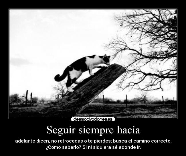 Seguir siempre hacía - adelante dicen, no retrocedas o te pierdes; busca el camino correcto.
¿Cómo saberlo? Si ni siquiera sé adonde ir.