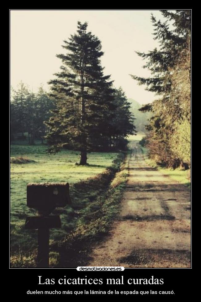 carteles frase paulo coelho del libro manuscrito encontrado accra javprox111 desmotivaciones