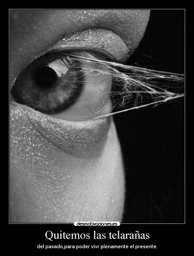 Quitemos las telarañas -