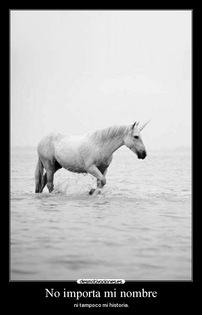 No importa mi nombre - 