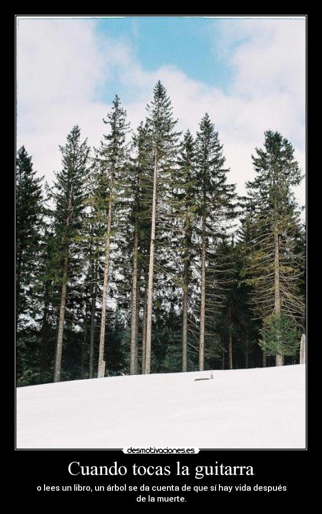 Cuando tocas la guitarra -