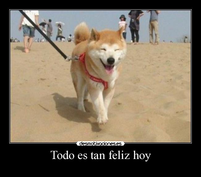 Todo es tan feliz hoy -