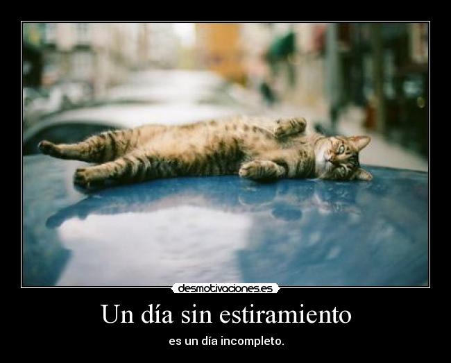 Un día sin estiramiento - es un día incompleto.