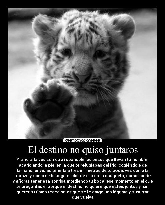 El destino no quiso juntaros - Y ahora la ves con otro robándole los besos que llevan tu nombre,
acariciando la piel en la que te refugiabas del frío, cogiéndole de
la mano, envidias tenerla a tres milímetros de tu boca, ves como la
abraza y como se le pega el olor de ella en la chaqueta, como sonríe
y añoras tener esa sonrisa mordiendo tu boca; ese momento en el que
te preguntas el porque el destino no quiere que estéis juntos y sin
querer tu única reacción es que se te caiga una lágrima y susurrar
que vuelva
