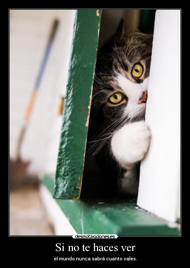 Si no te haces ver -