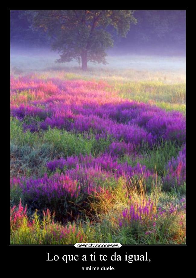 carteles veces necesitamos huir para averiguar cuanto preocupan por encontrarnos desmotivaciones