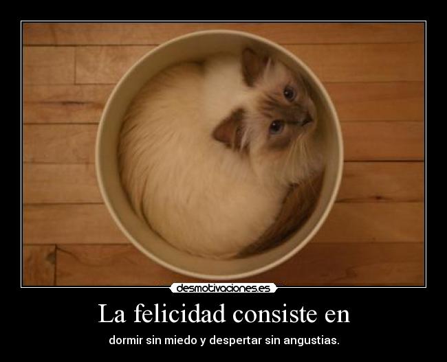 La felicidad consiste en -