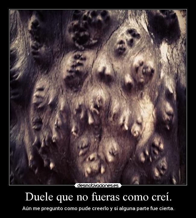 Duele que no fueras como creí. - Aún me pregunto como pude creerlo y si alguna parte fue cierta.