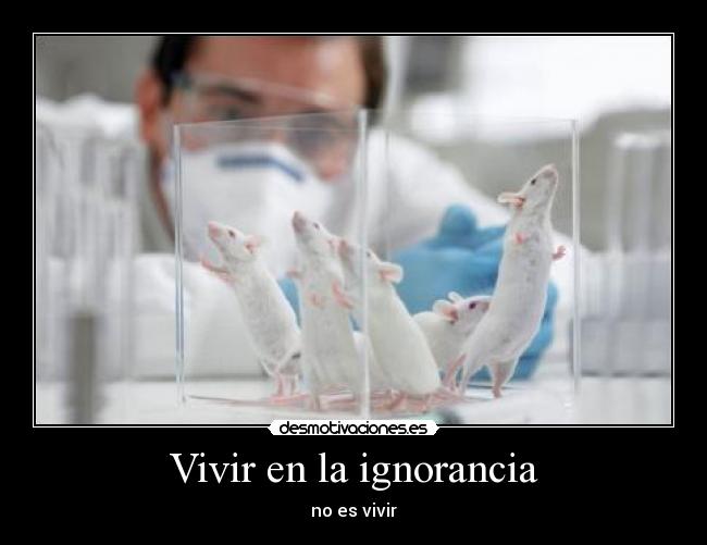Vivir en la ignorancia - 