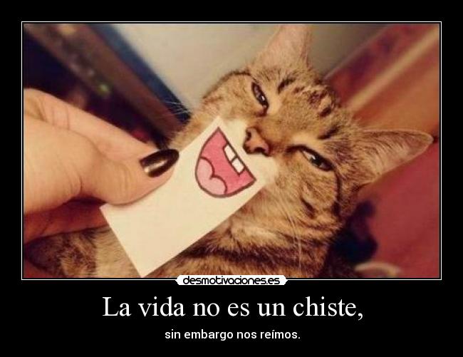 La vida no es un chiste, - sin embargo nos reímos.