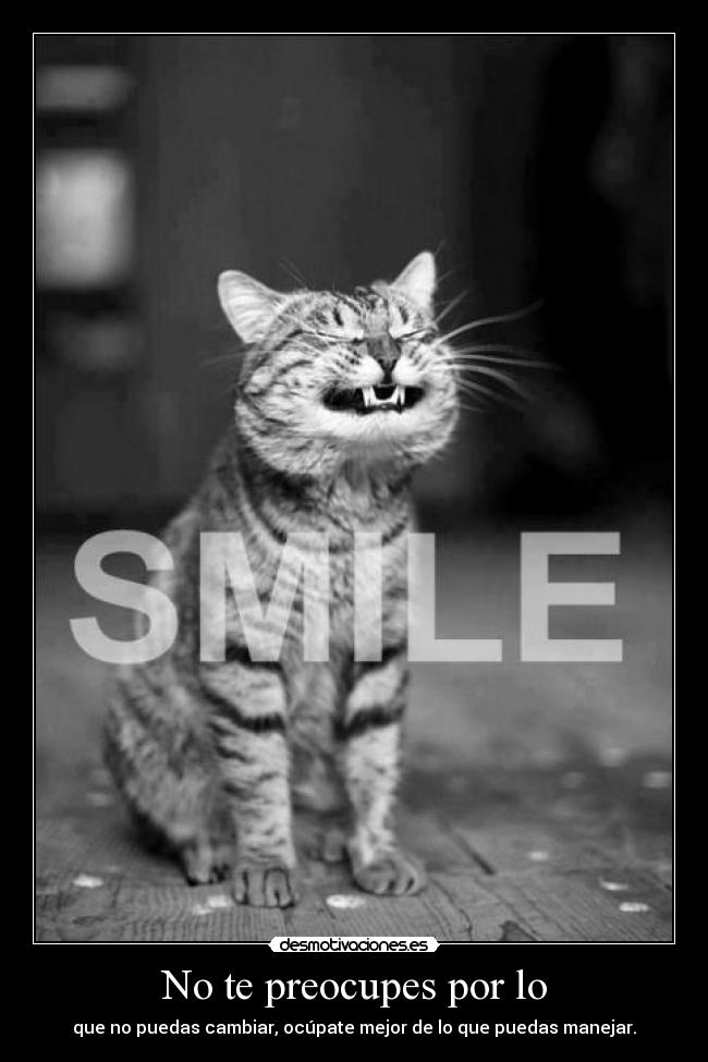 No te preocupes por lo -