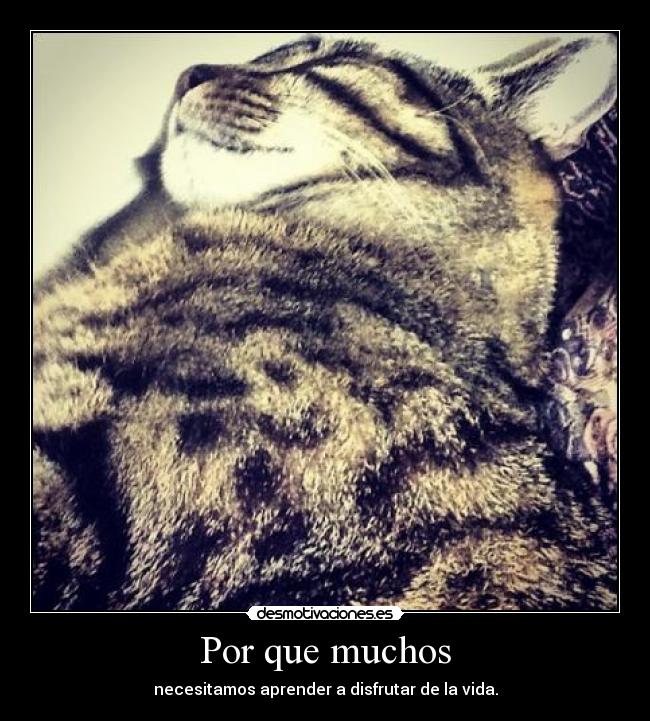 Por que muchos -