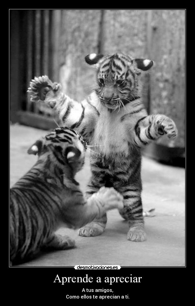 Aprende a apreciar -
