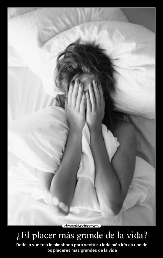 ¿El placer más grande de la vida? - Darle la vuelta a la almohada para sentir su lado más frío es uno de
los placeres más grandes de la vida