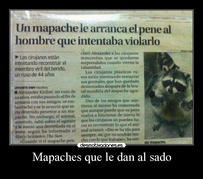 carteles skimoco desmotivaciones