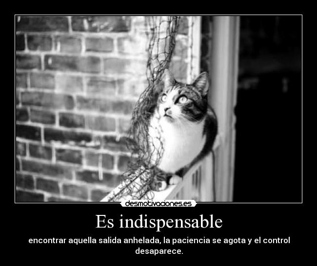 Es indispensable - encontrar aquella salida anhelada, la paciencia se agota y el control desaparece.