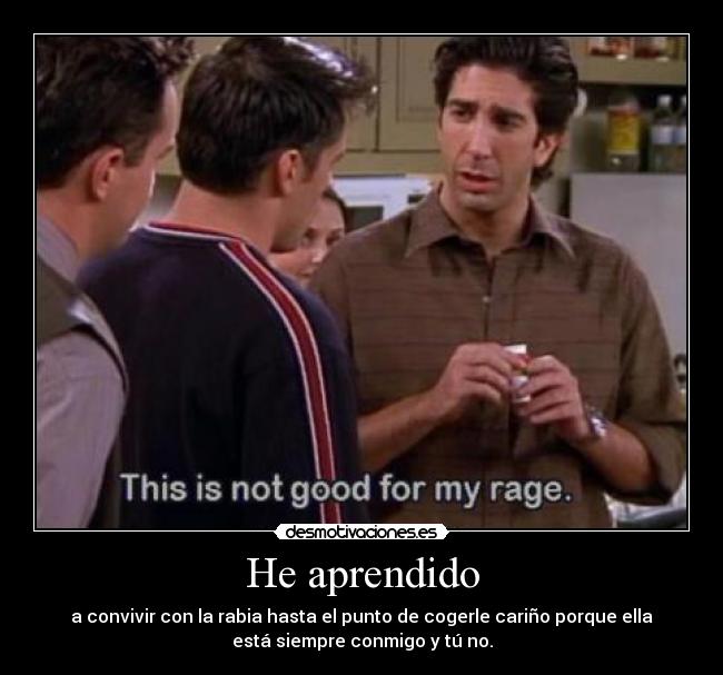 He aprendido - a convivir con la rabia hasta el punto de cogerle cariño porque ella
está siempre conmigo y tú no.