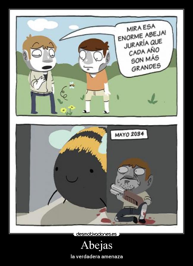 Abejas -