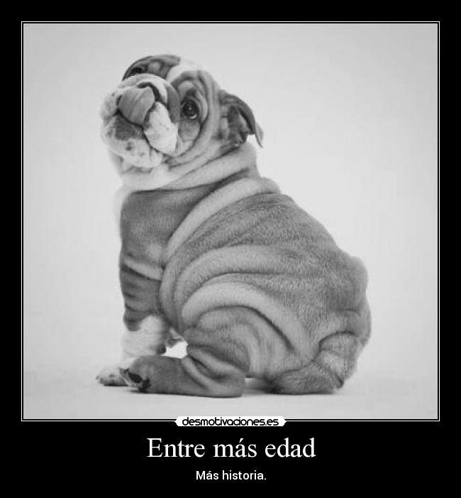 carteles katiwix desmotivaciones