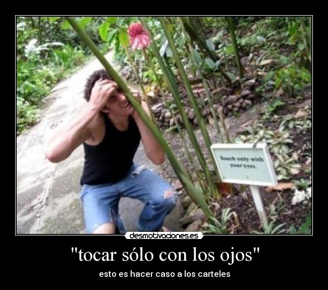 tocar sólo con los ojos -