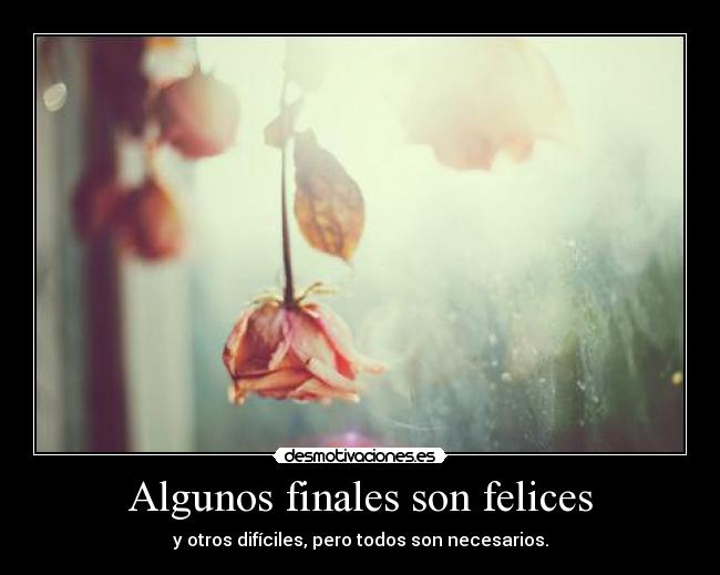 Algunos finales son felices -