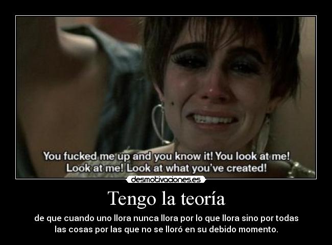 Tengo la teoría - de que cuando uno llora nunca llora por lo que llora sino por todas
las cosas por las que no se lloró en su debido momento.