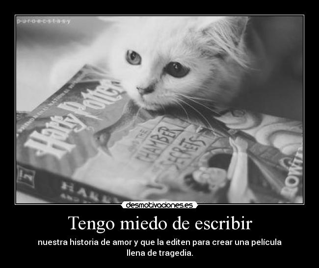 Tengo miedo de escribir -