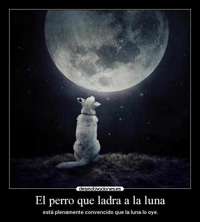 El perro que ladra a la luna - está plenamente convencido que la luna lo oye.