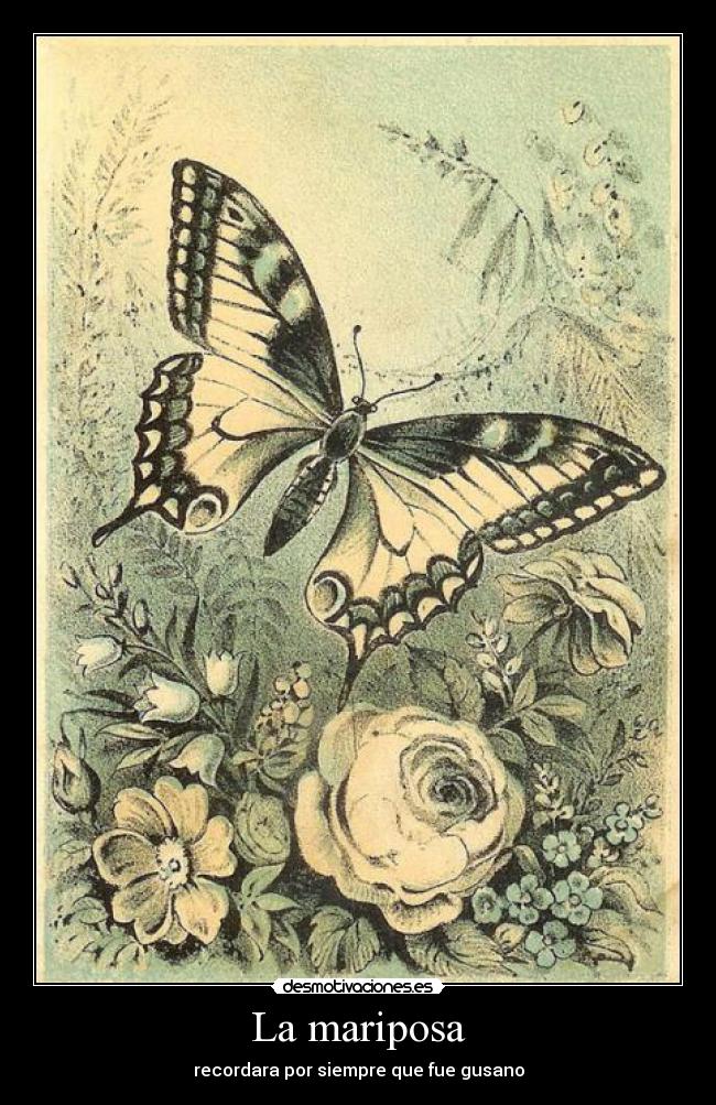 La mariposa - recordara por siempre que fue gusano