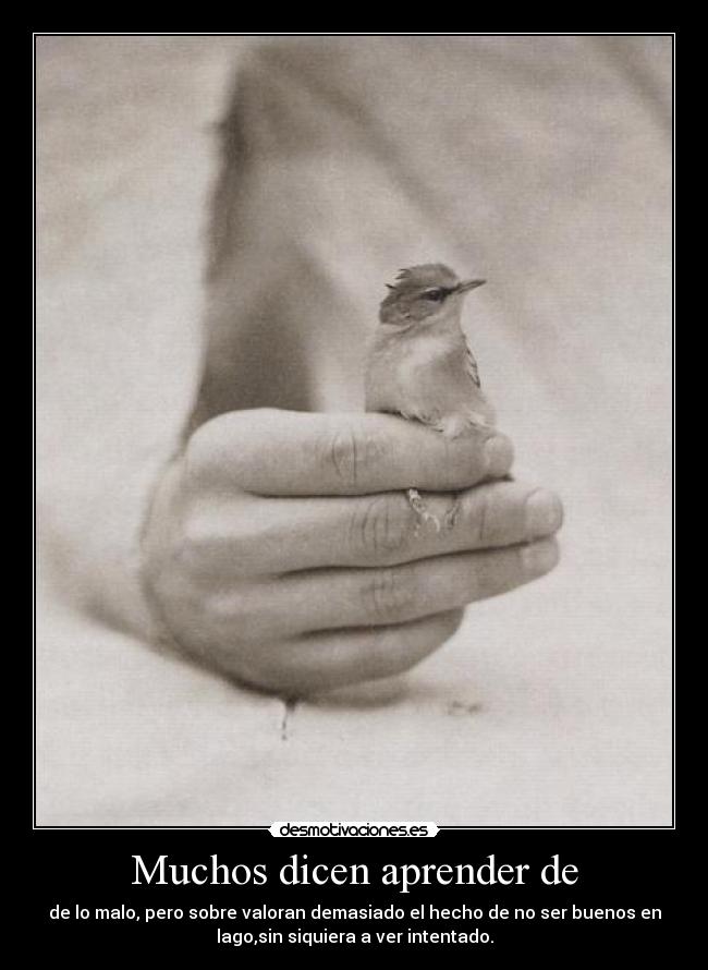 carteles perdon borre sin querer desmotivaciones