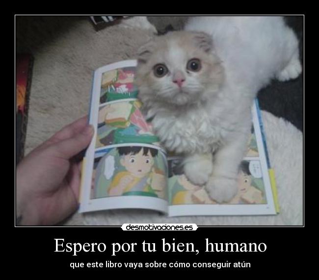 Espero por tu bien, humano - 