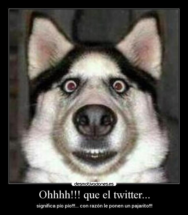 Ohhhh!!! que el twitter... -